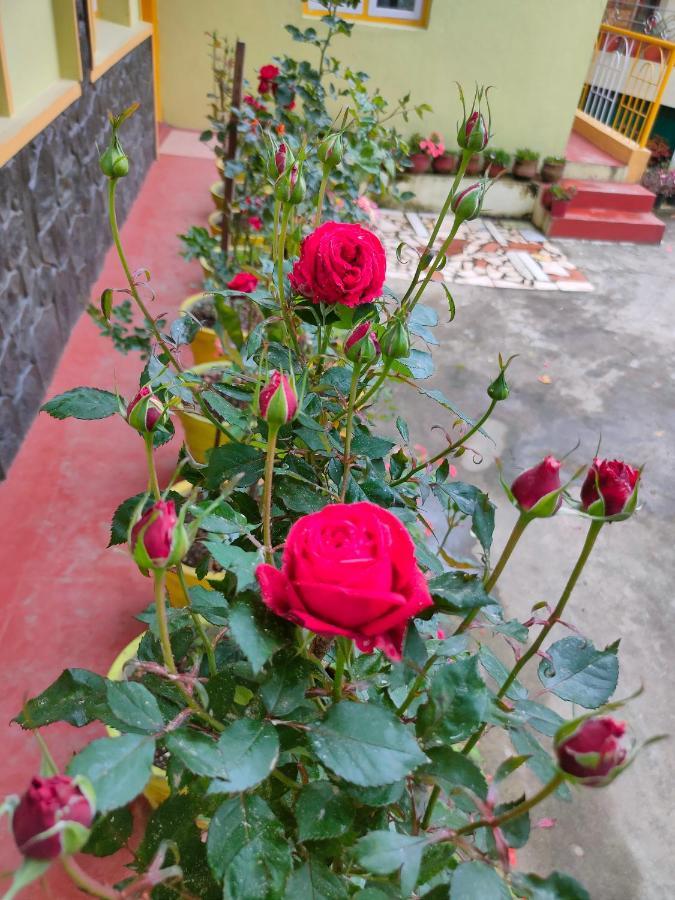 Homestay Misba Kodaikanal