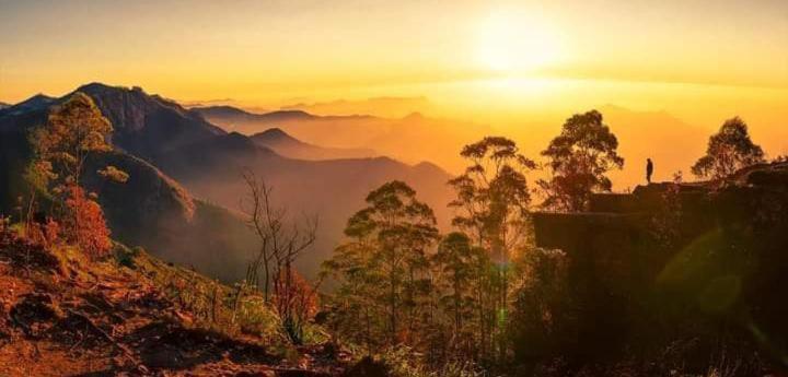 Praveen's Greenhouse Homestay Vattakanal Homestay Kodaikanal
