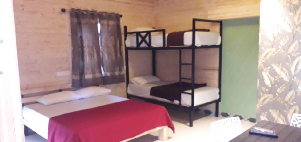 Kodai Elegance Apartment