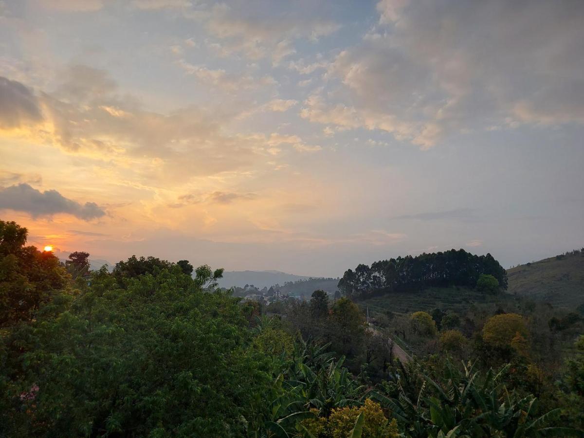 Kodai Diva -