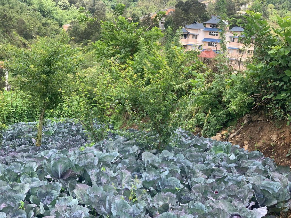 Bogar Palace Hotel Kodaikanal