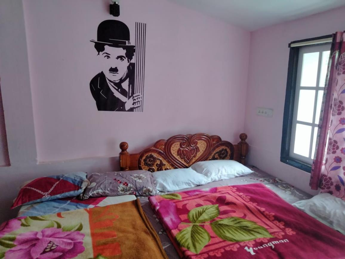 Kodai 360 For Bachelors Only *