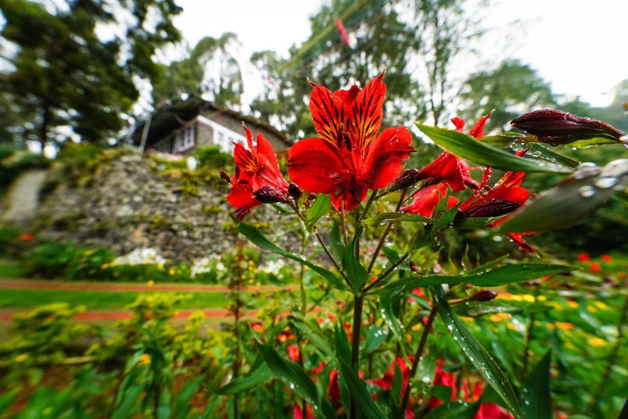 De Huts * Kodaikanal