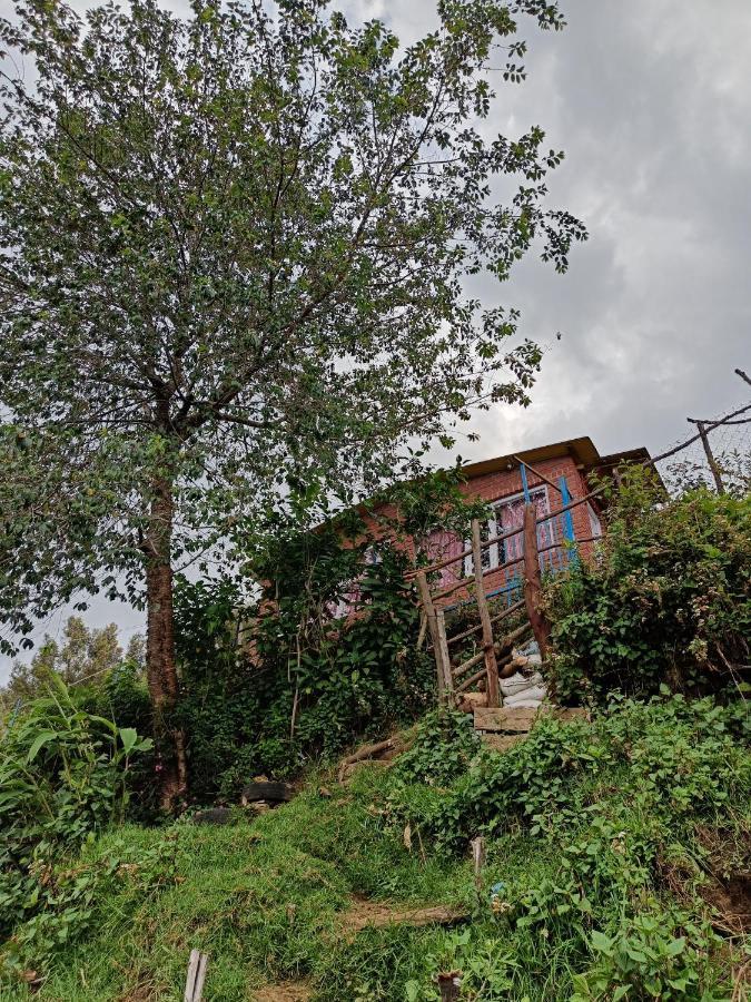Cozy Huts Kodaikanal