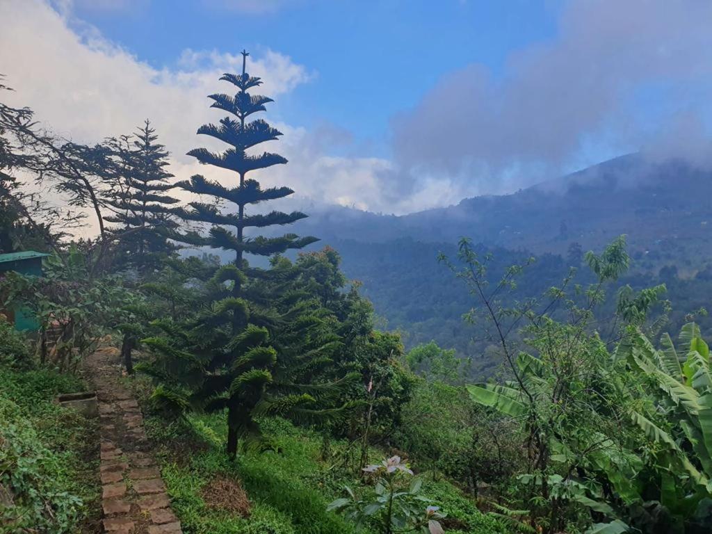 Inn 4rest Private Limited Kodaikanal