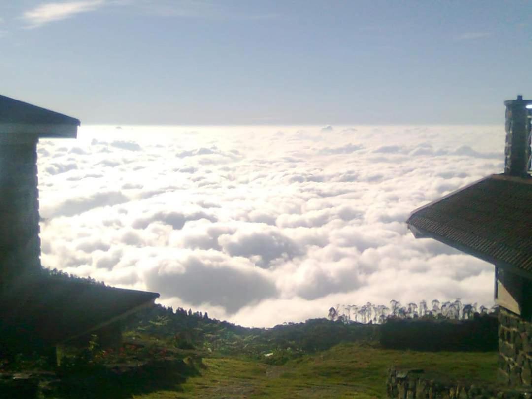 The Place ...the Experience *
