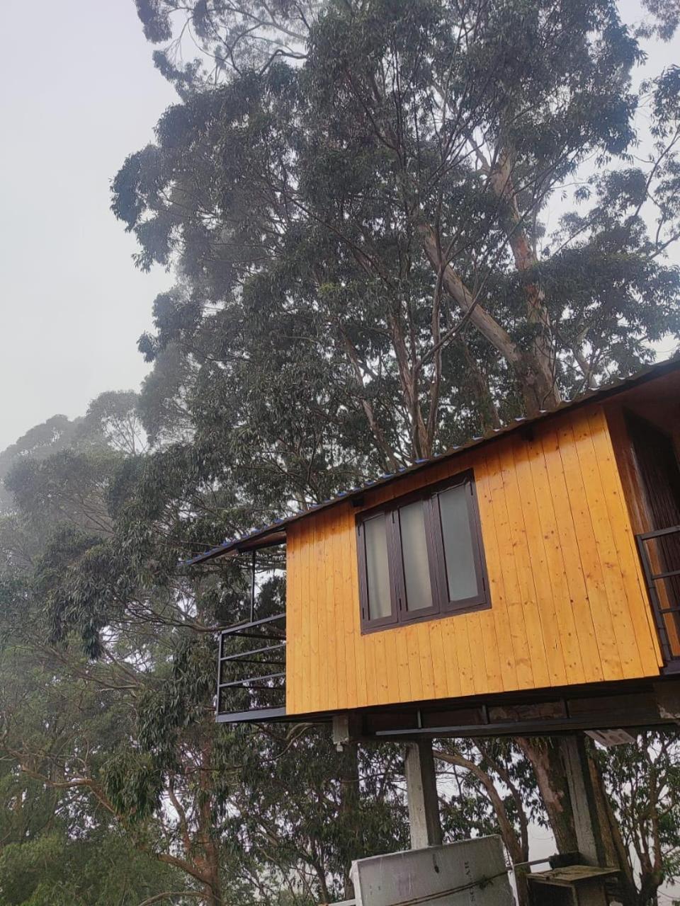 Kelvin Eva Wood House *
