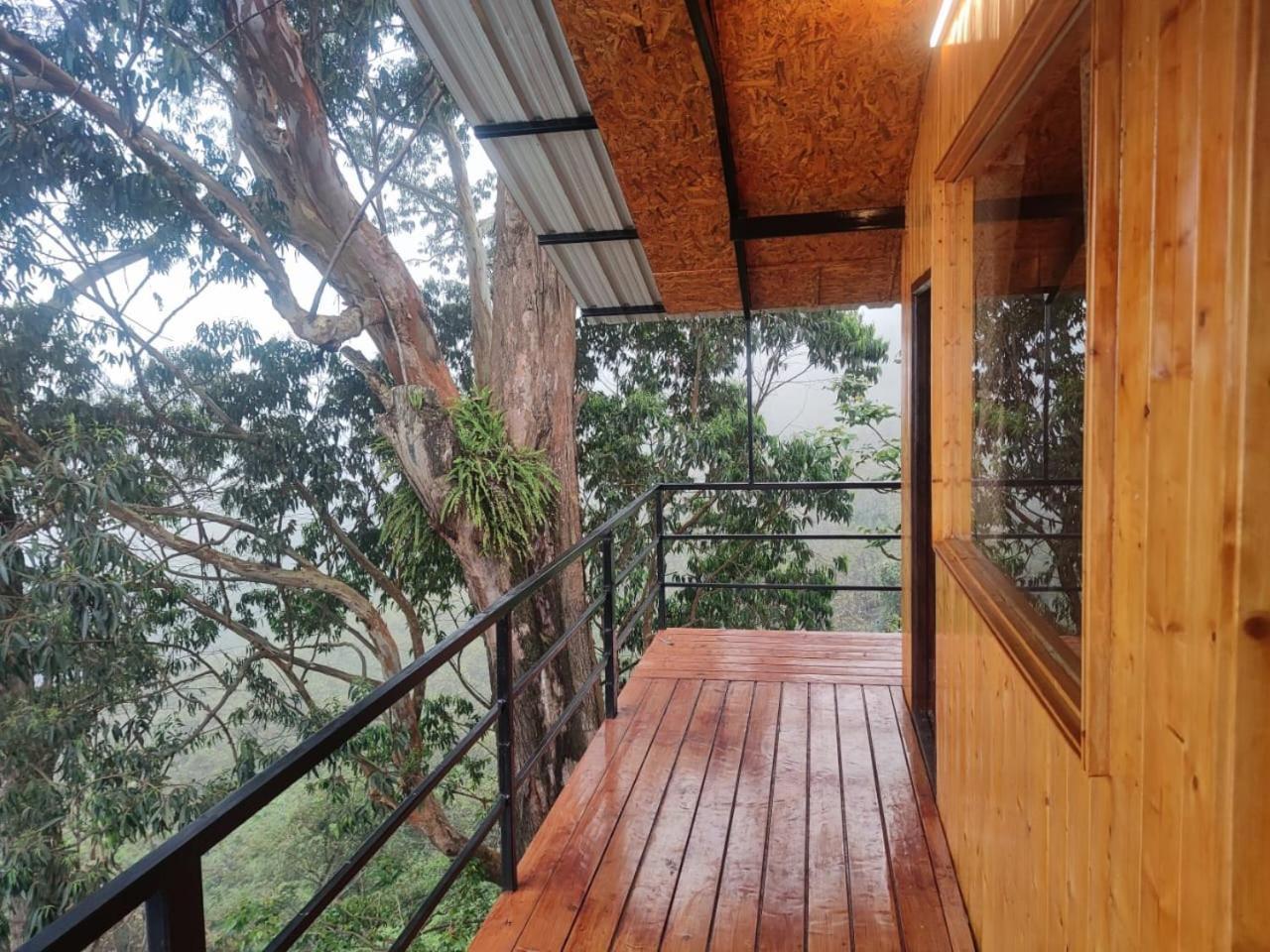 Kelvin Eva Wood House Apartment *