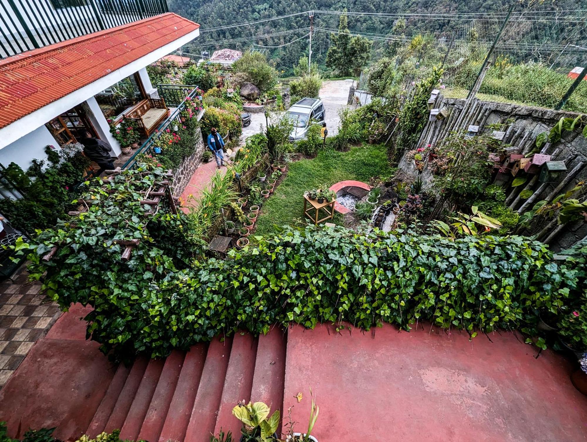 Homestay Cloudwalks