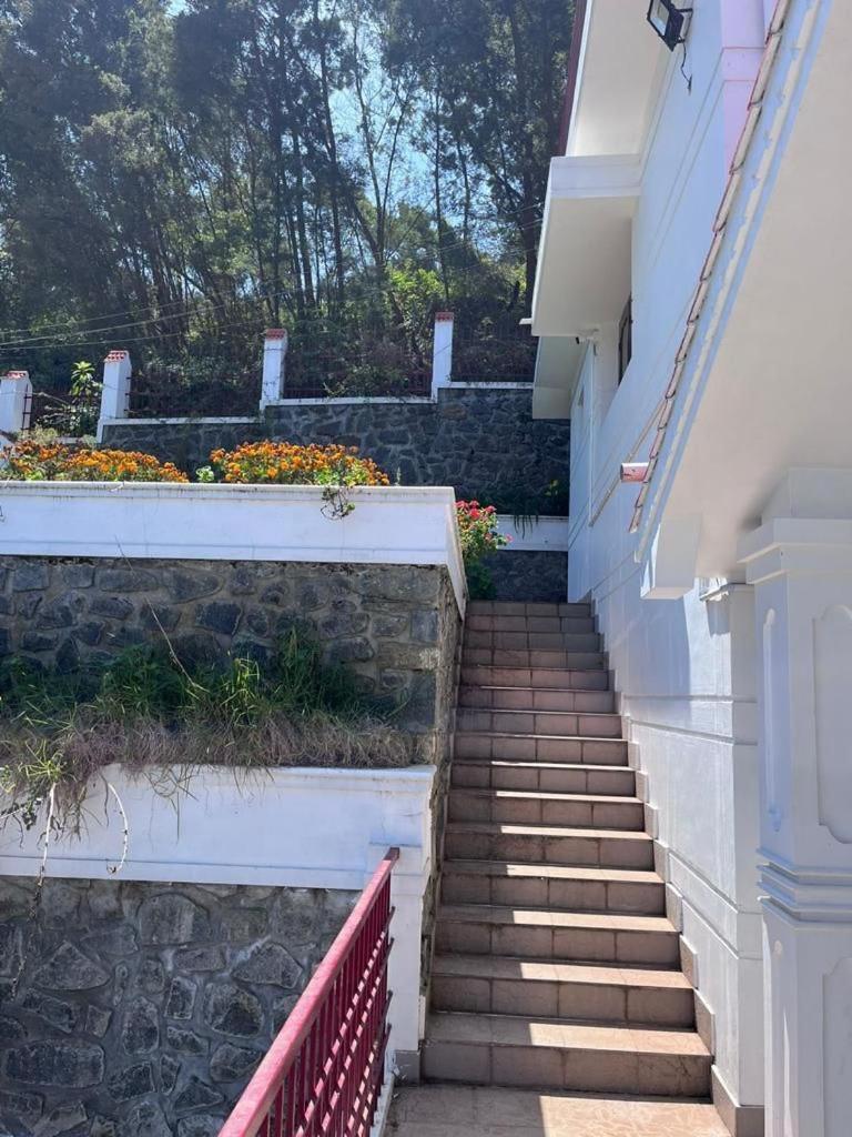 Guest house Costa Cliff *