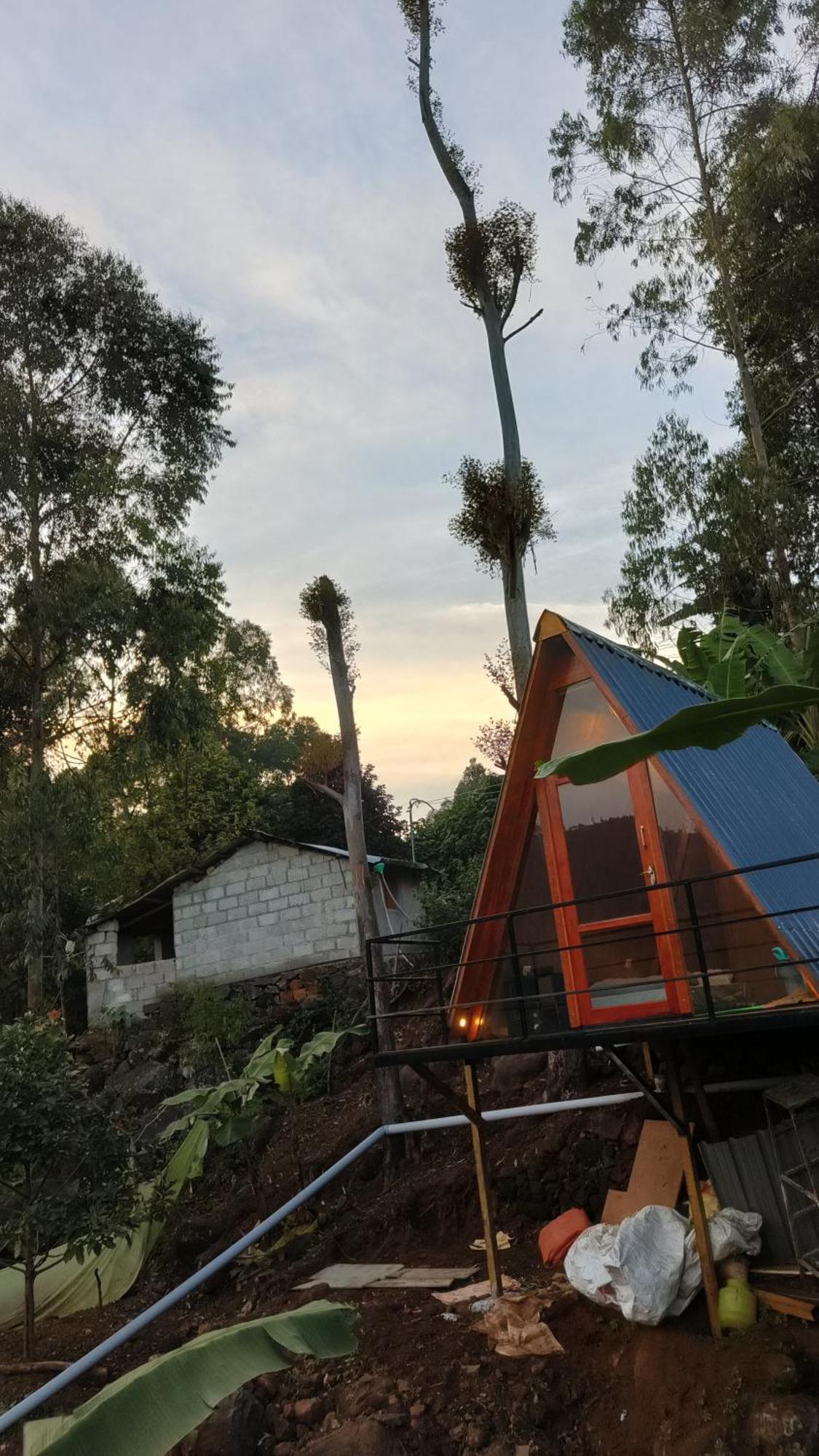 Papathi Farm stay Kodaikanal