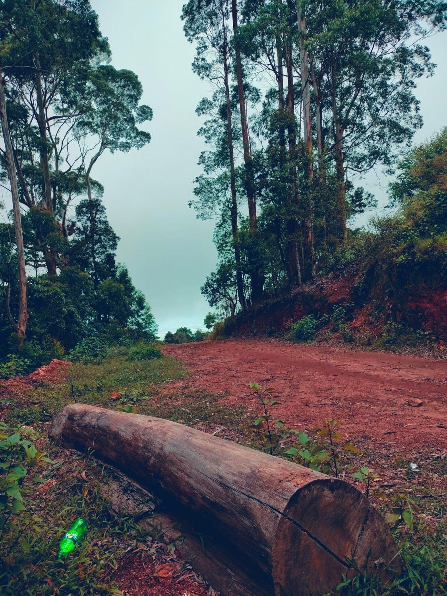 Homestay Sanjuktha's Wood House Vattakanal Kodaikanal