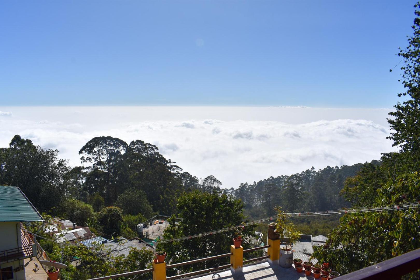 Sanjuktha's Wood House Vattakanal * Kodaikanal