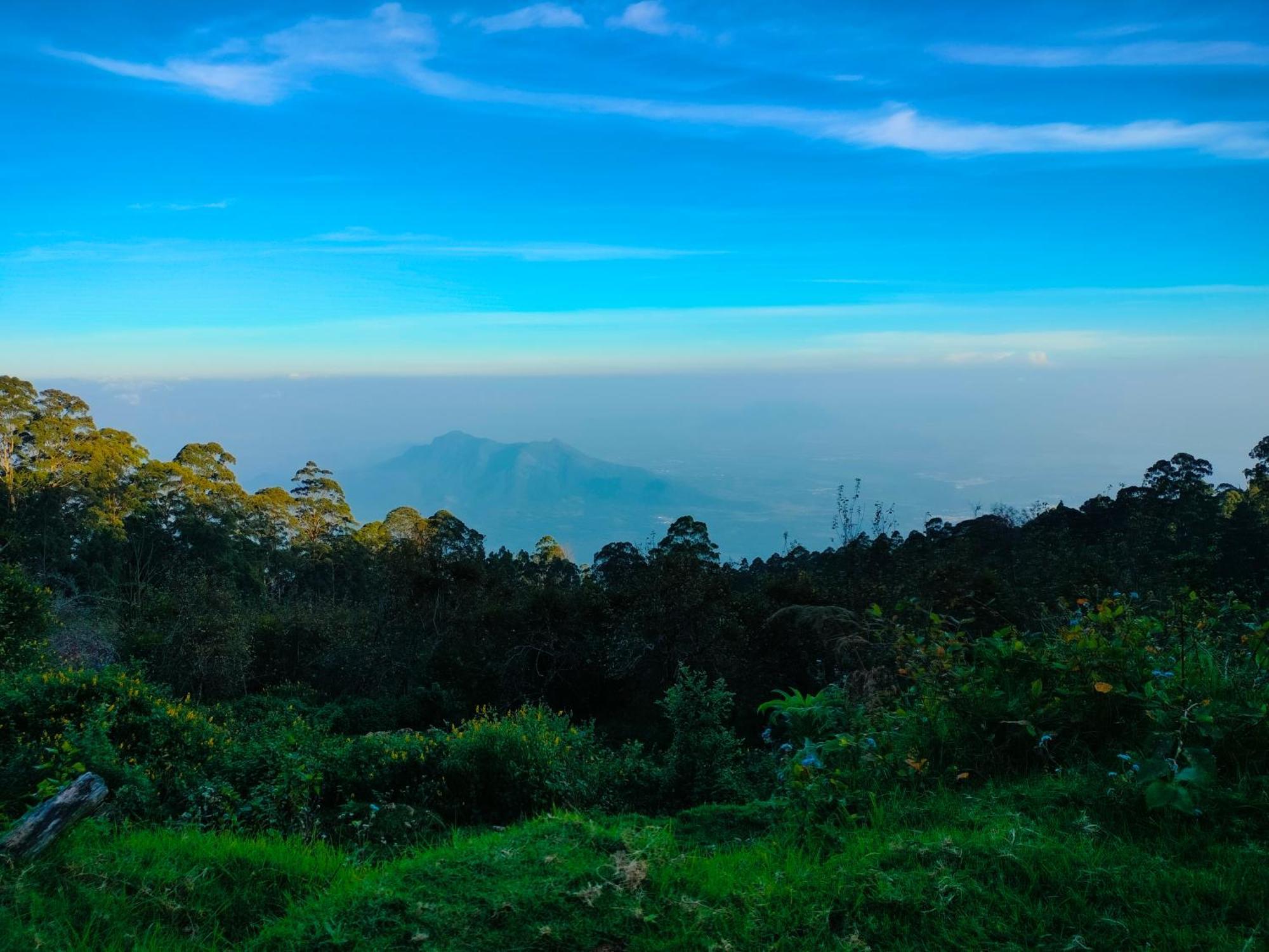 Sanjuktha's Wood House Vattakanal Homestay Kodaikanal