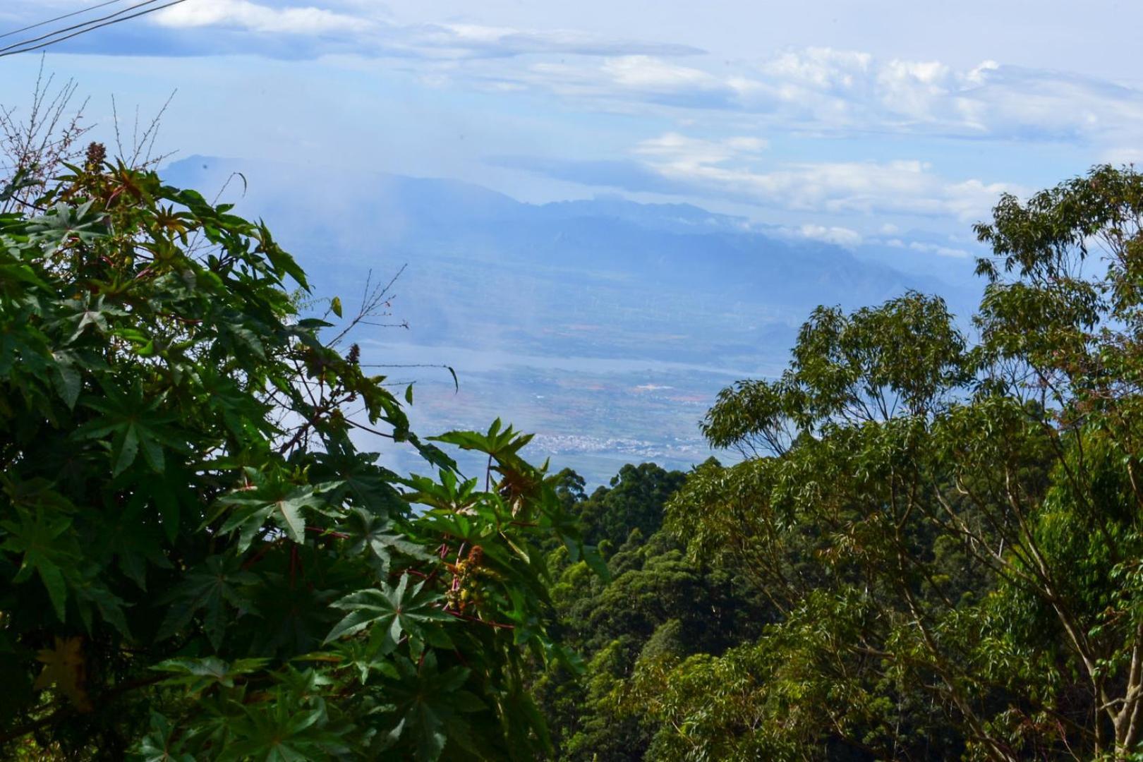 Sanjuktha's Wood House Vattakanal Homestay Kodaikanal