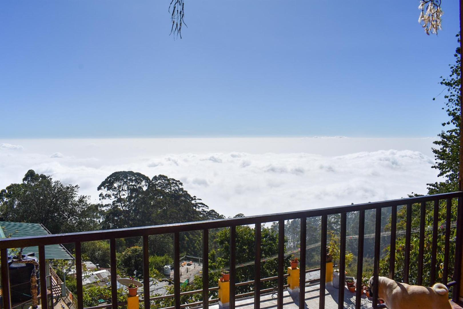 Sanjuktha's Wood House Vattakanal Kodaikanal