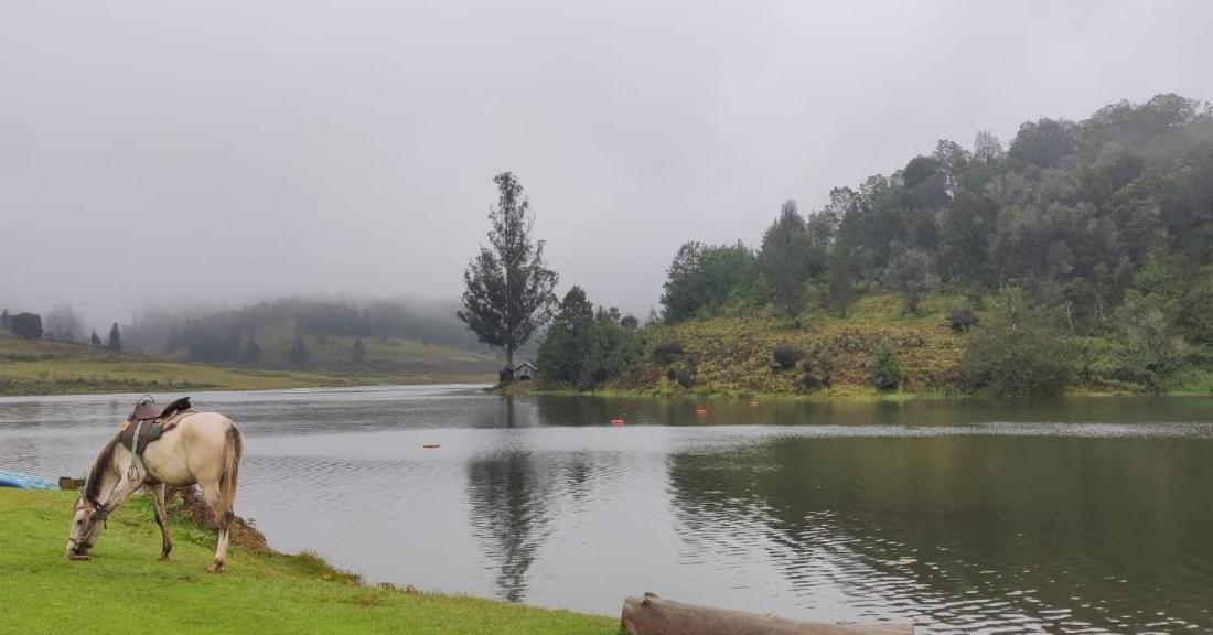 Sanjuktha's Wood House Vattakanal Kodaikanal