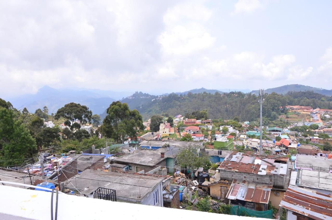 Kodai Eco Tree