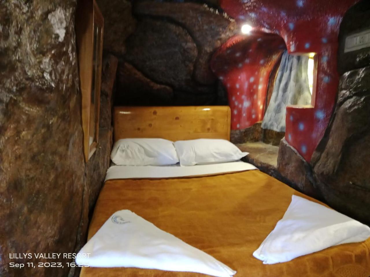 Lilly's Valley Resort 2*