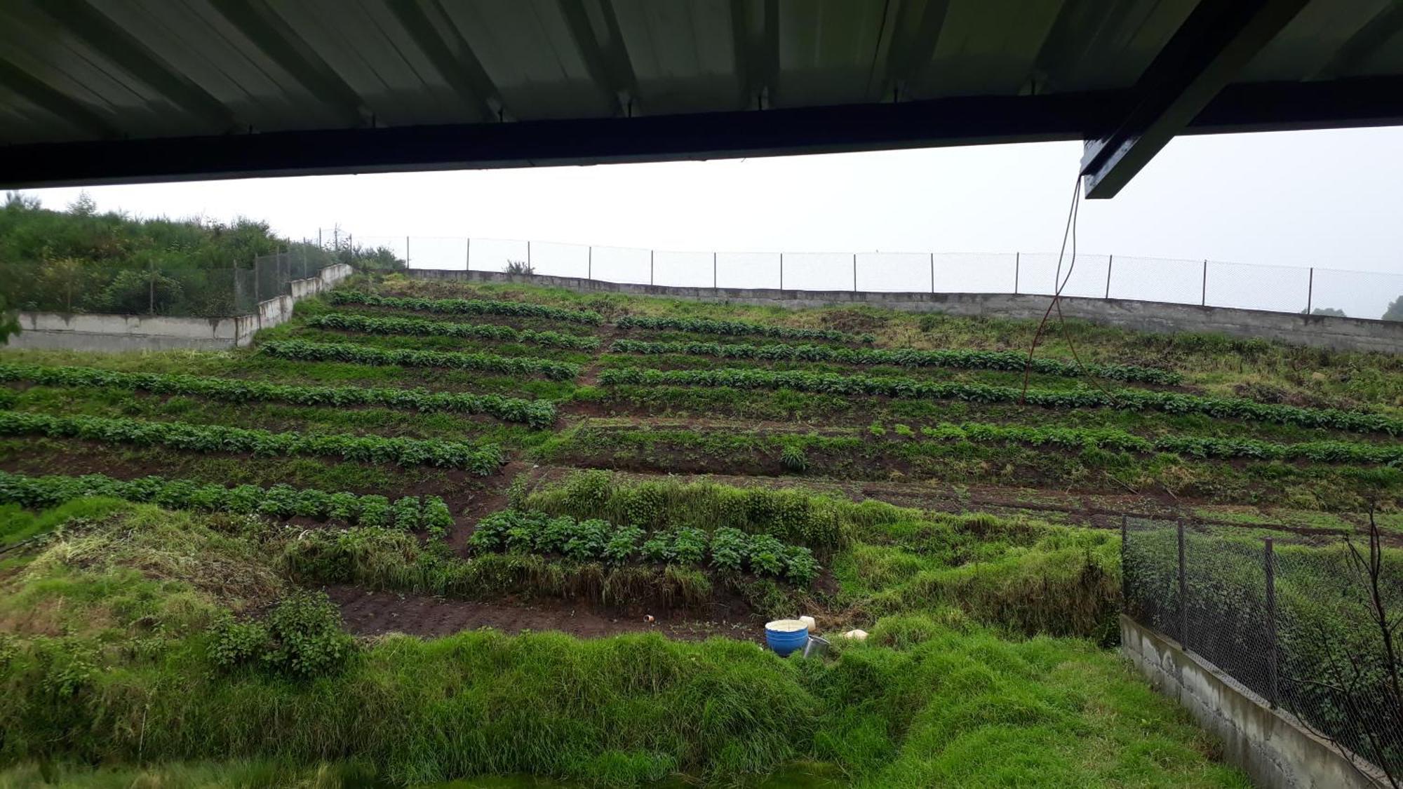 Armaan's Mud Mart Holiday home Kodaikanal