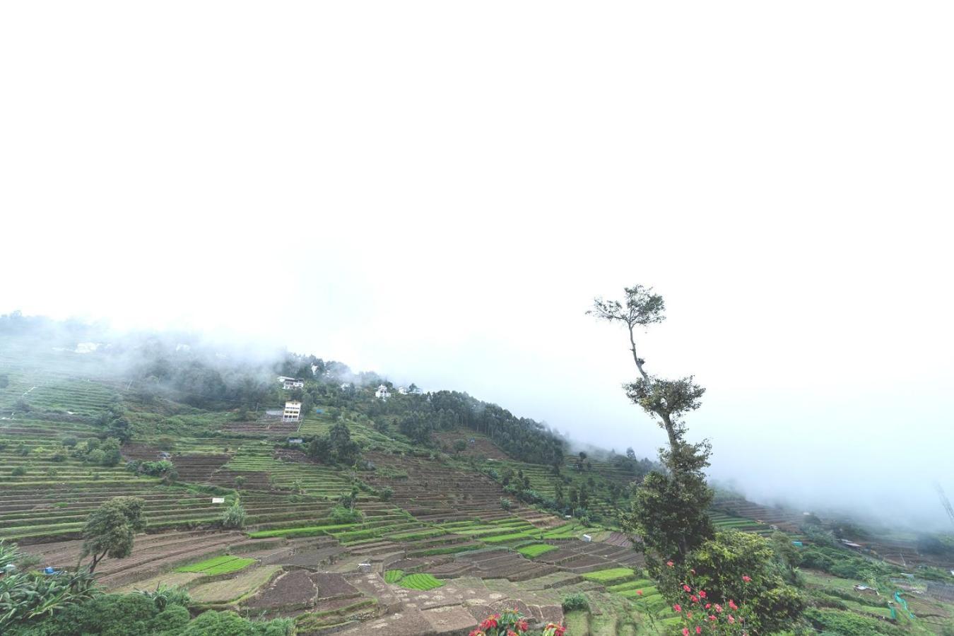Kbs Sree Paradise Kodai 3* Kodaikanal