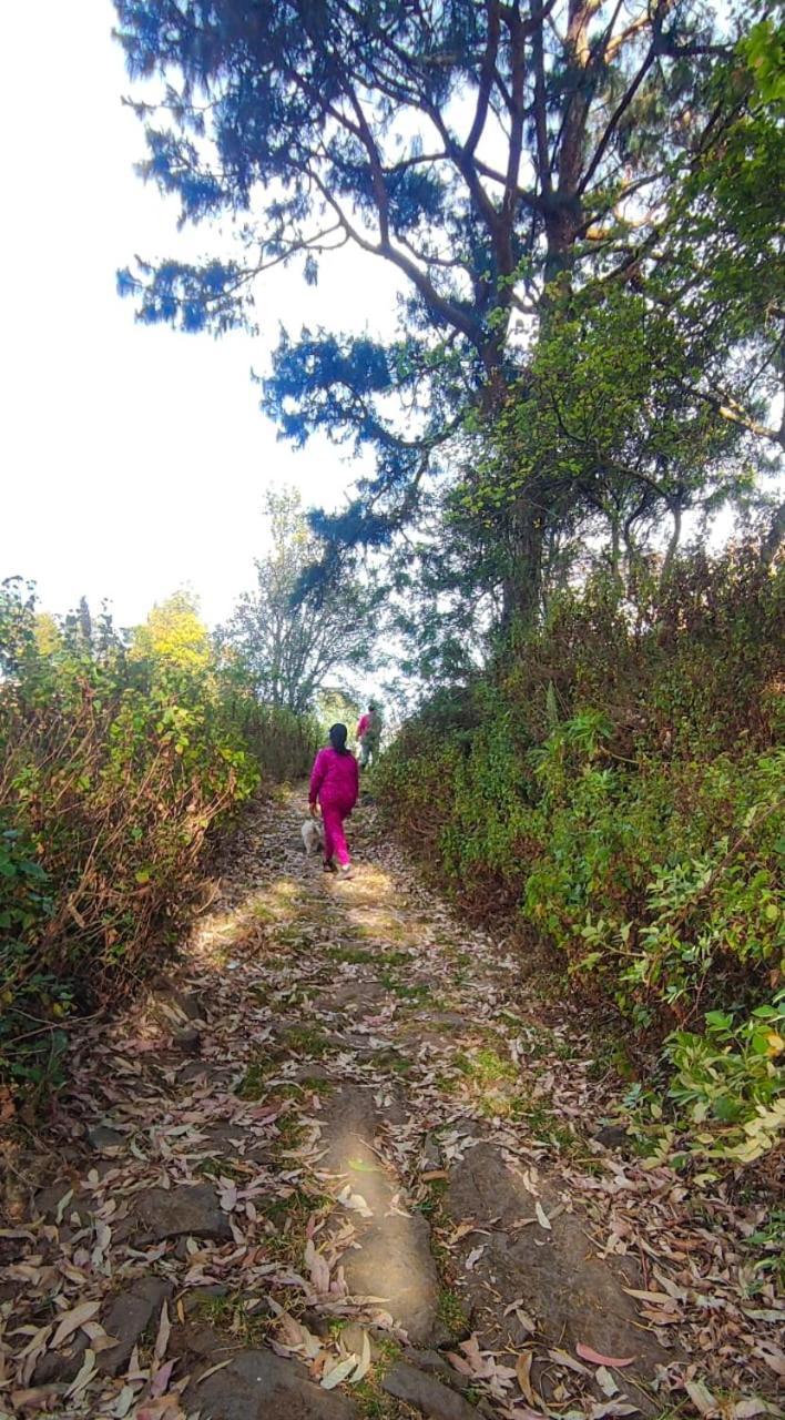 Frozen Monks Homestay Kodaikanal