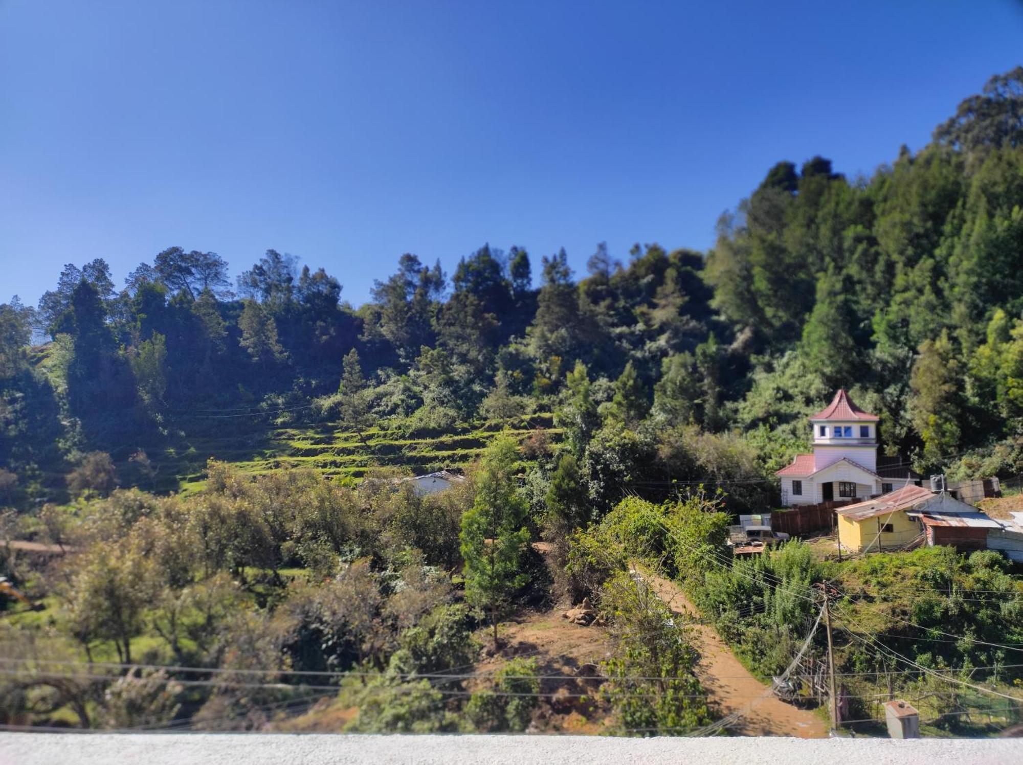 Frozen Monks Homestay *