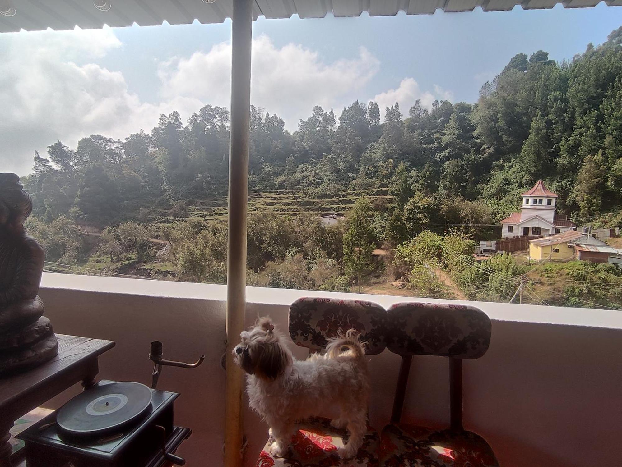Frozen Monks Homestay
