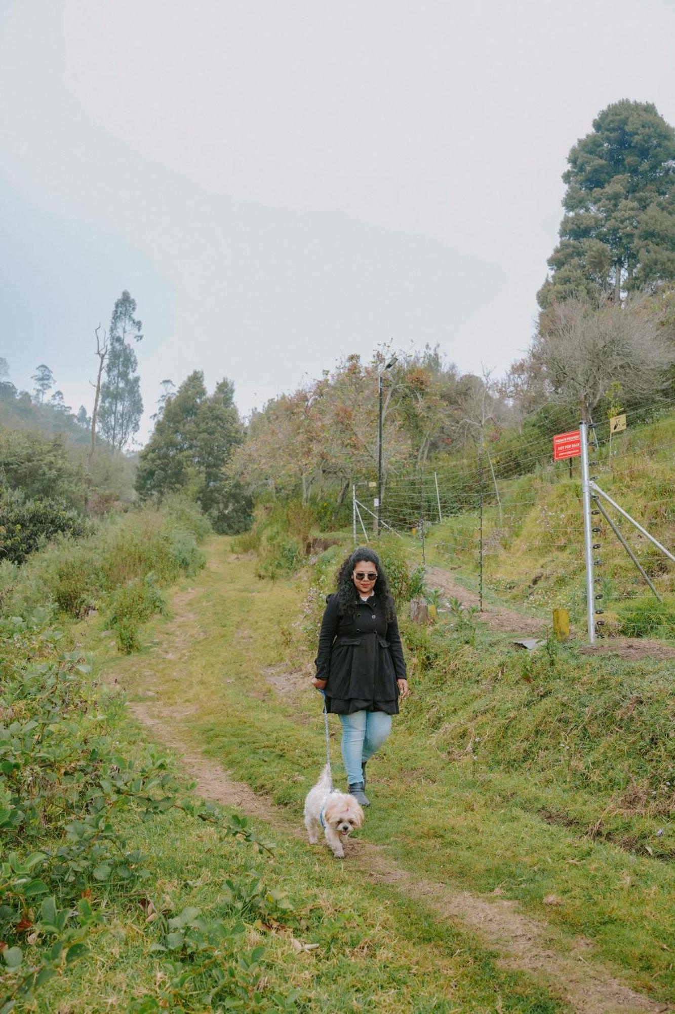 Homestay Frozen Monks