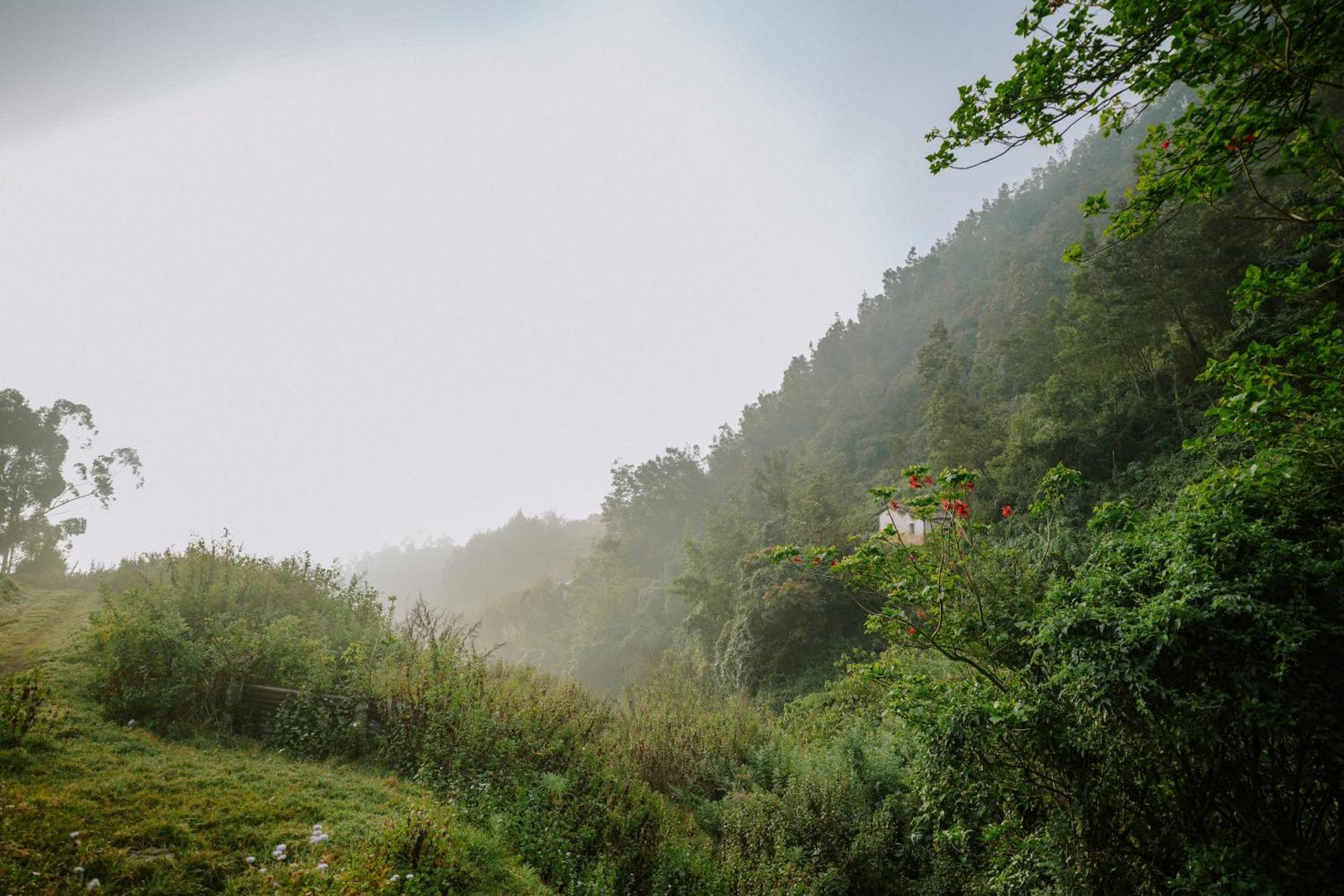 Homestay Frozen Monks Kodaikanal