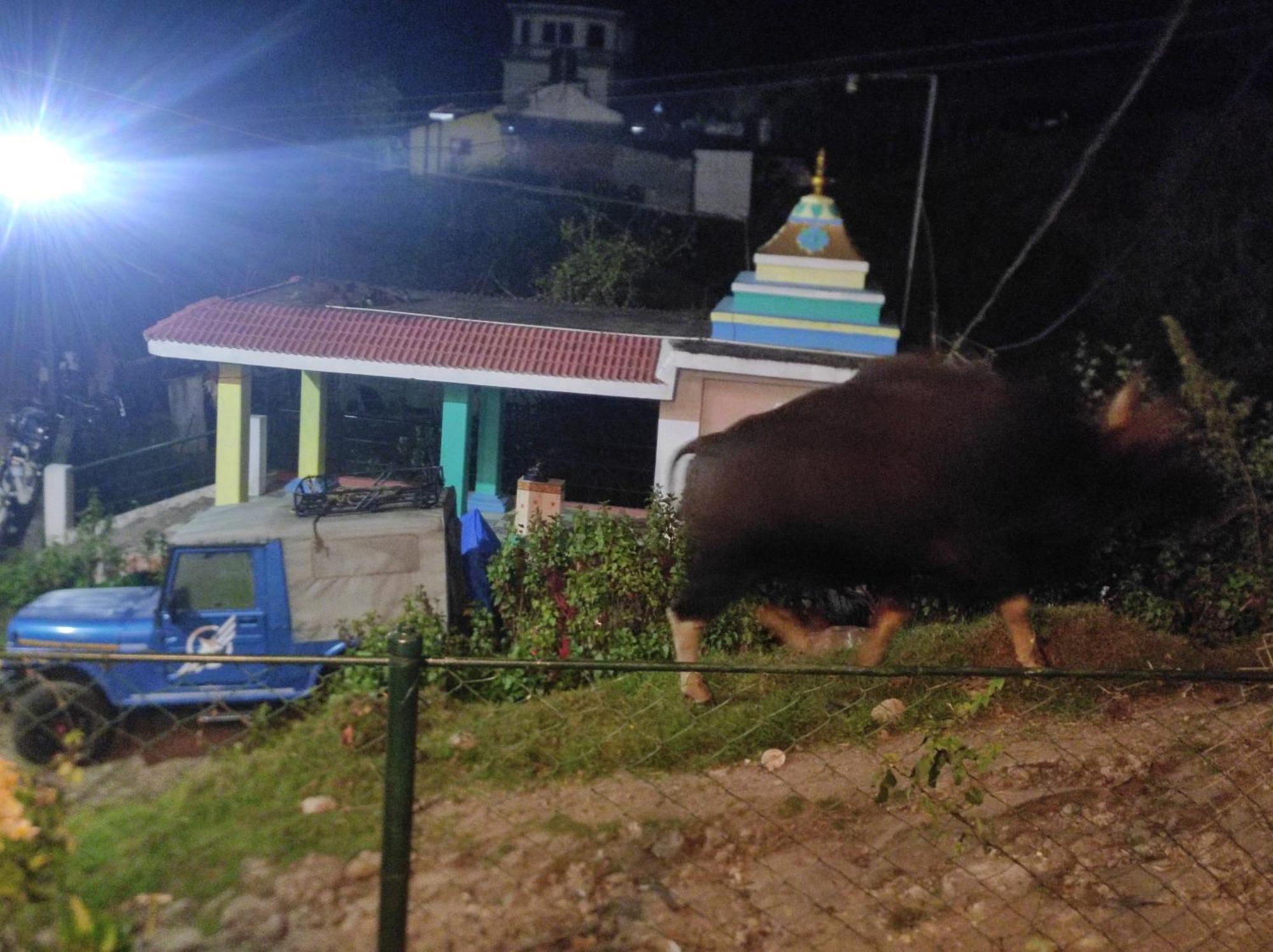 Homestay Frozen Monks Kodaikanal