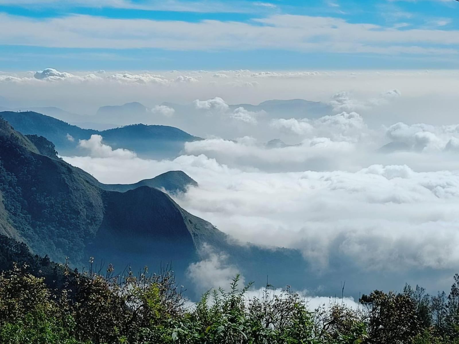 Cozy Huts * Kodaikanal