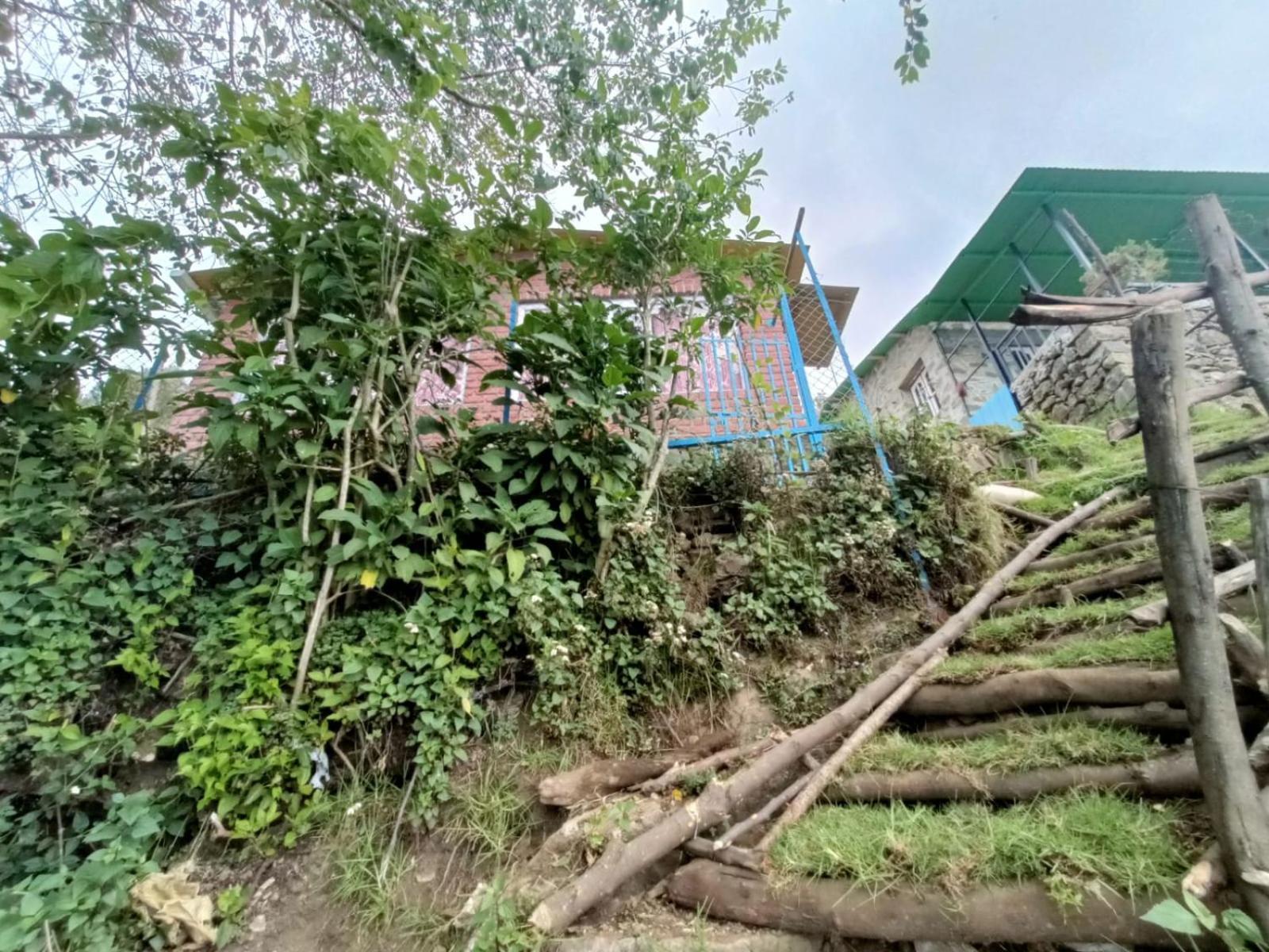 Cozy Huts * Kodaikanal