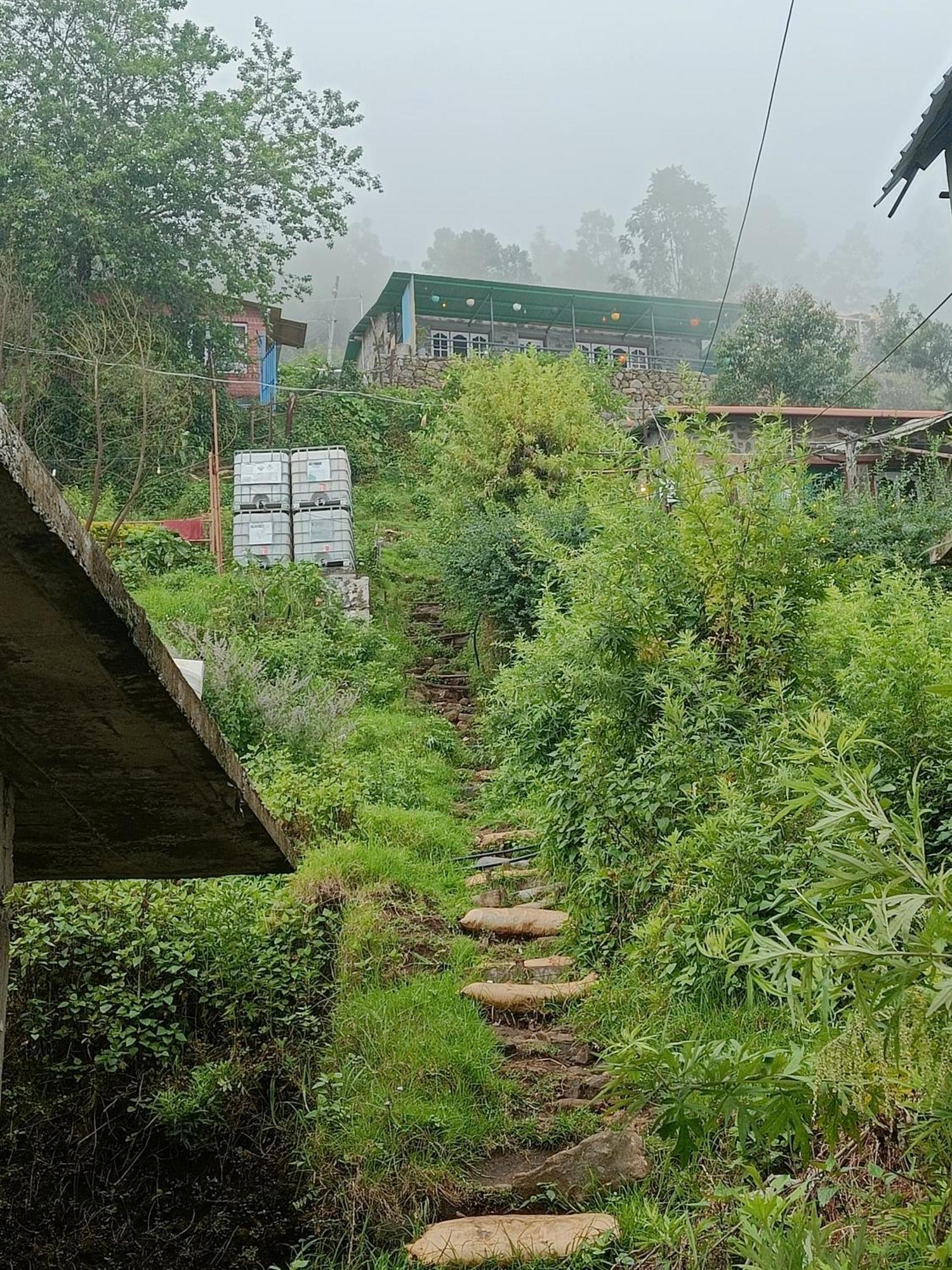 Cozy Huts *