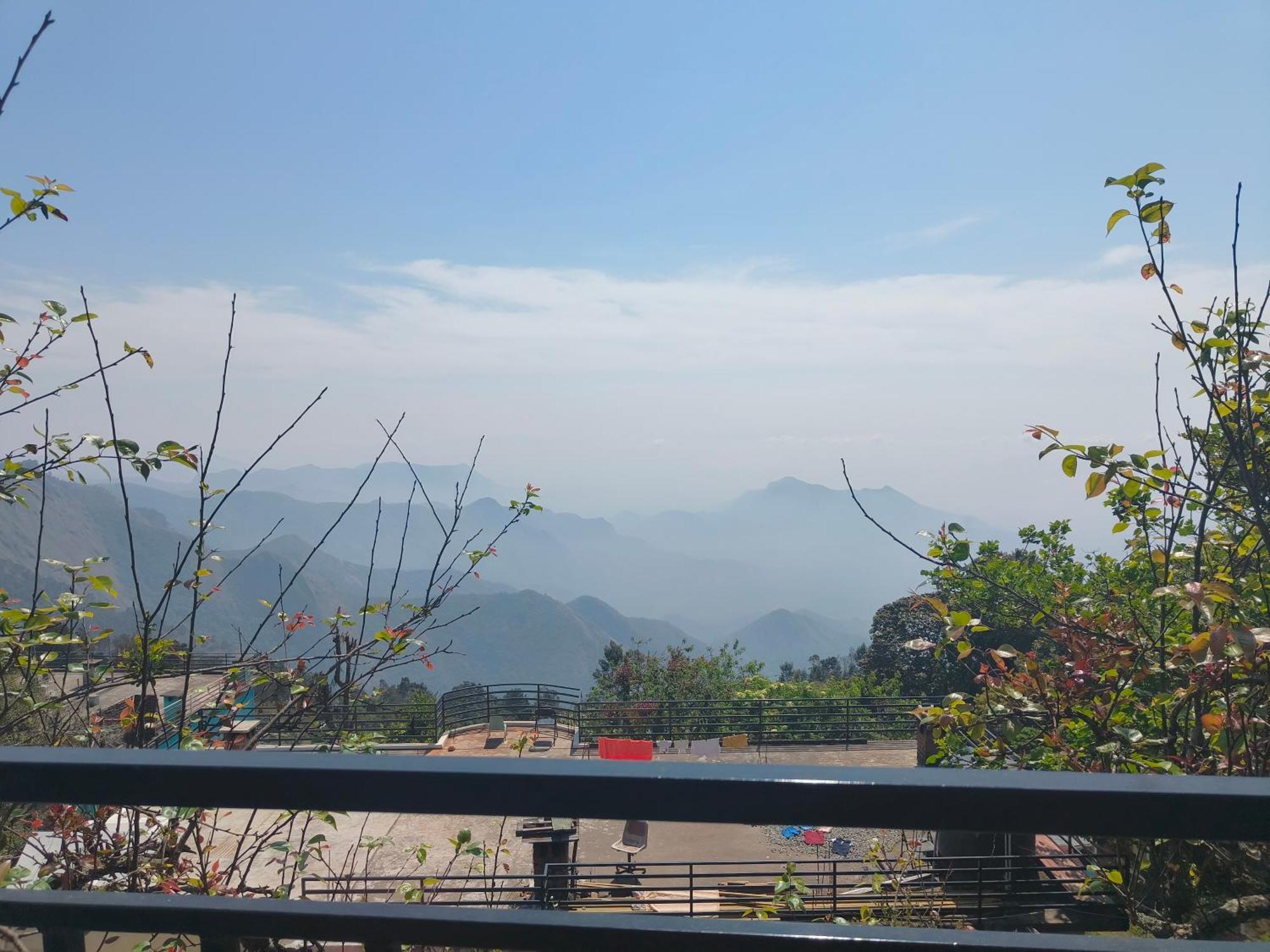 Wood Vattakanal