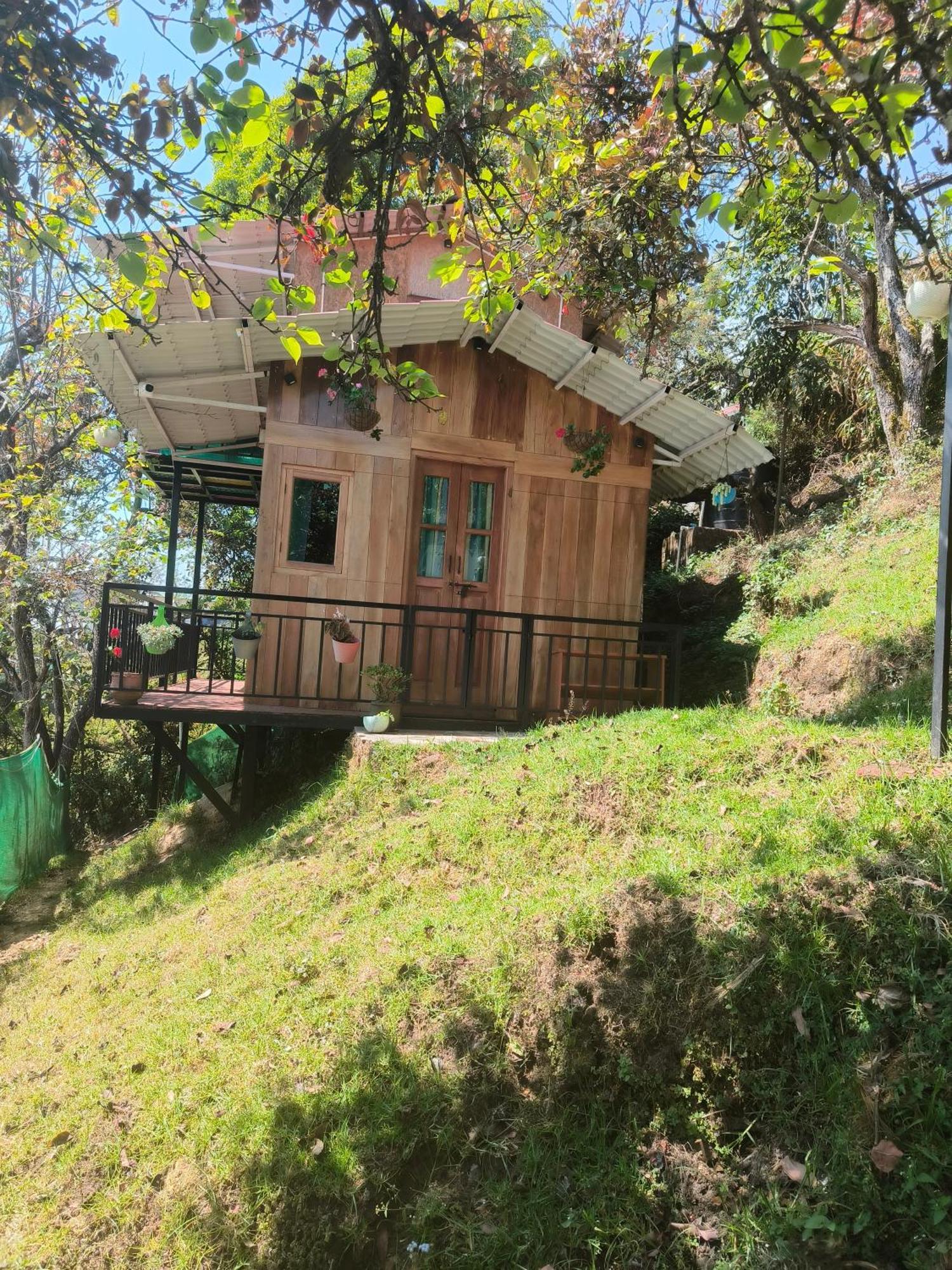 Wood Vattakanal