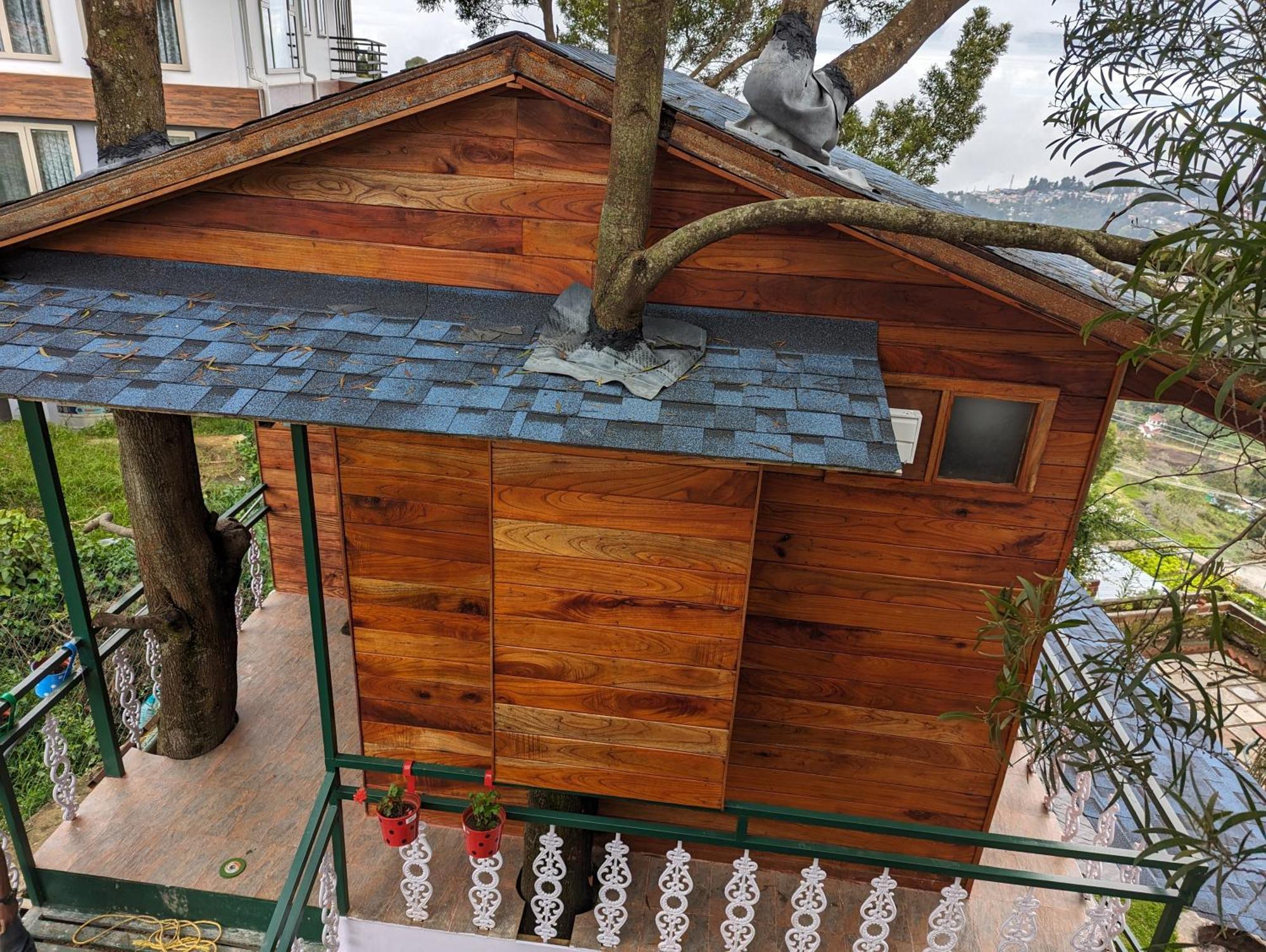Homestay Cloudwalks