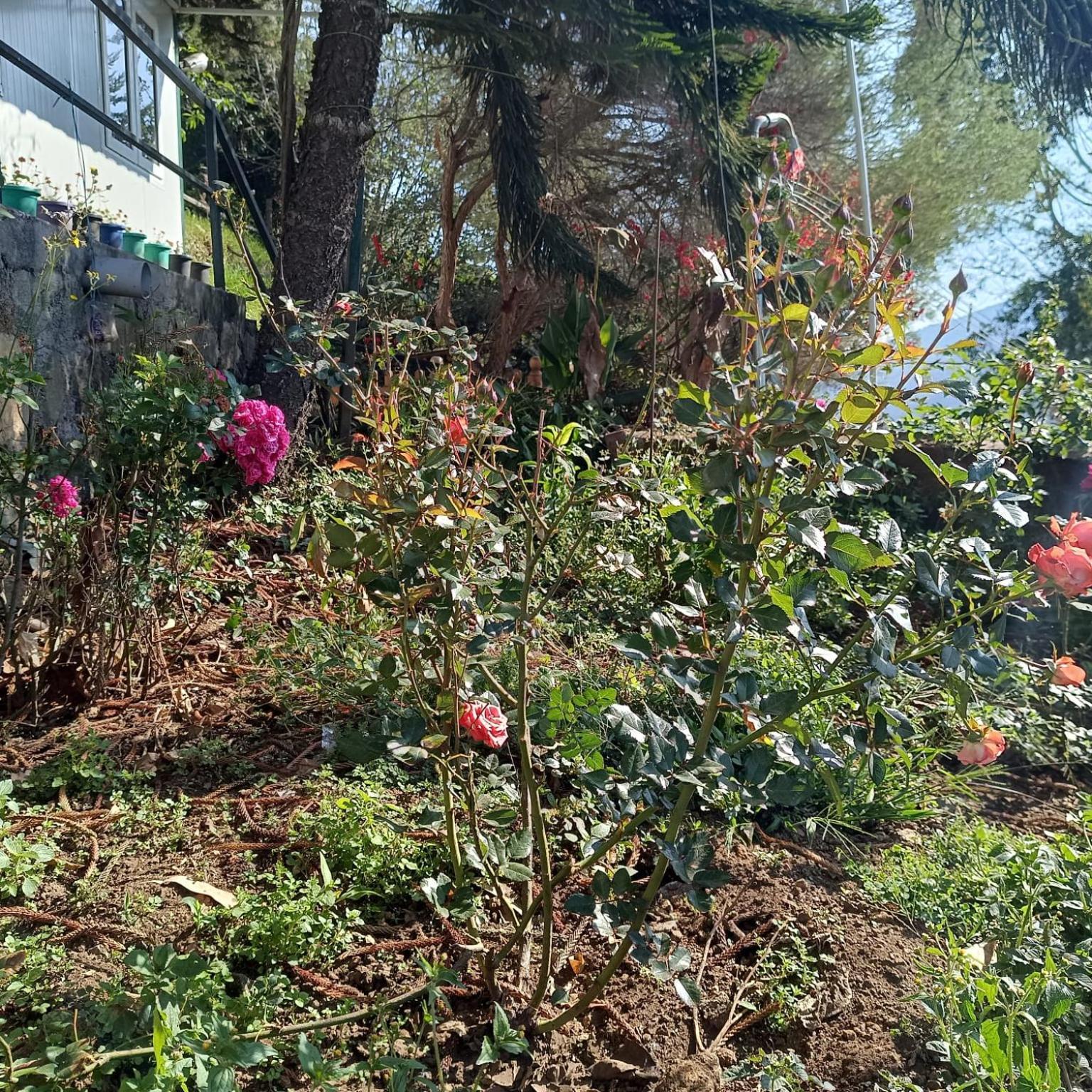 4rest Private Limited Kodaikanal