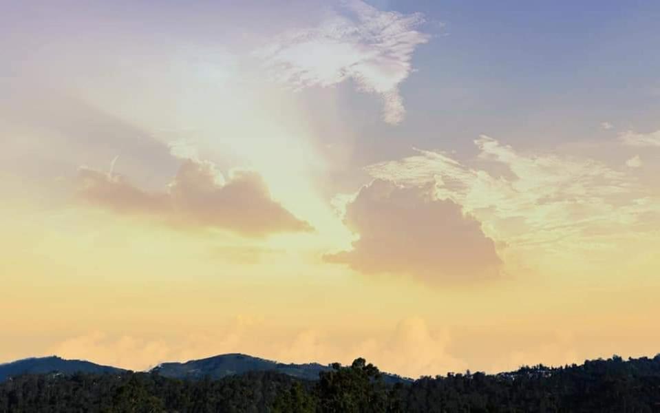 Villa The Orion 5 Bhk -yogicottage Online Kodaikanal