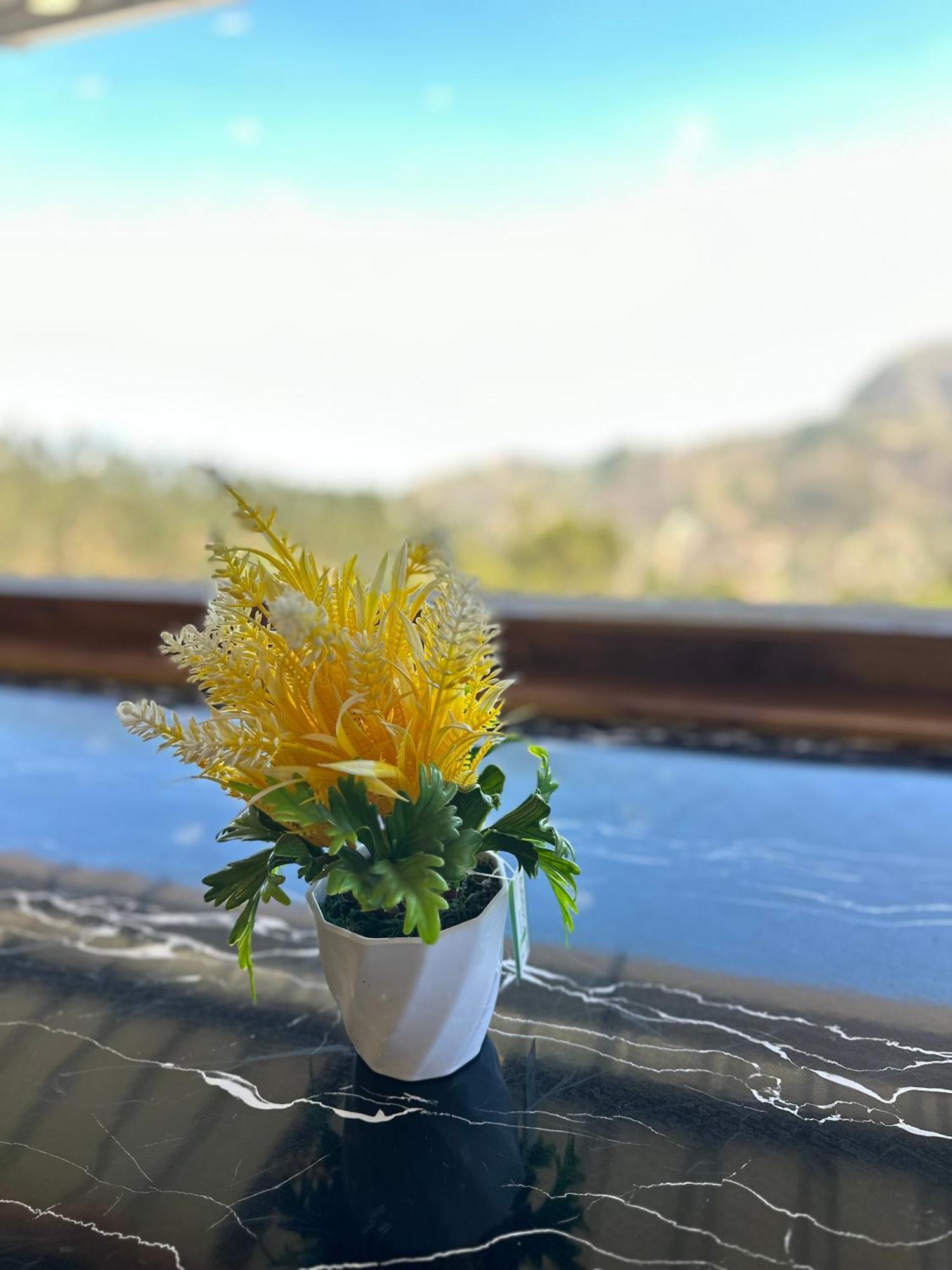 Skytop Homestay Kodaikanal