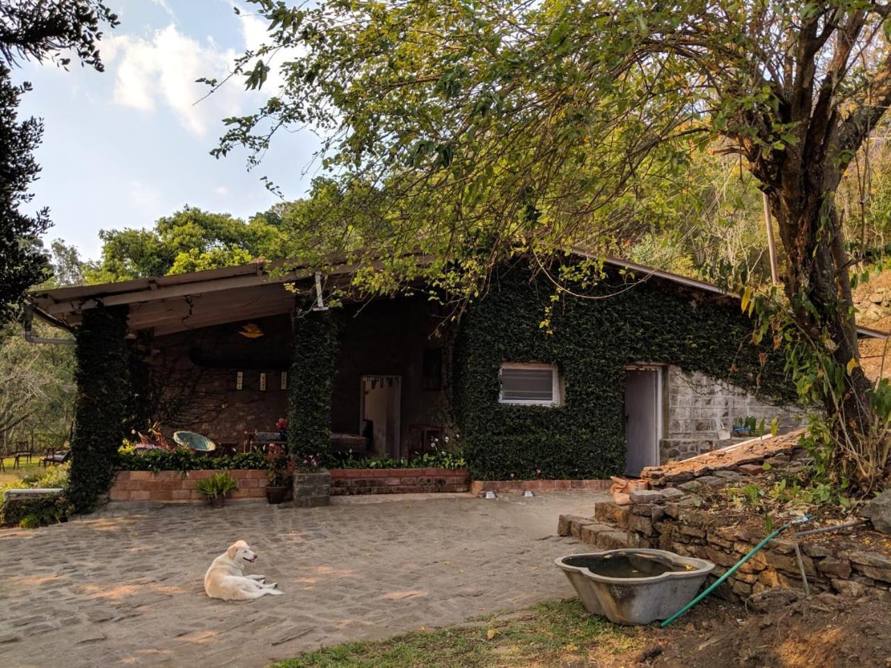 Villa Saffronstays Nandanvan Estate, *