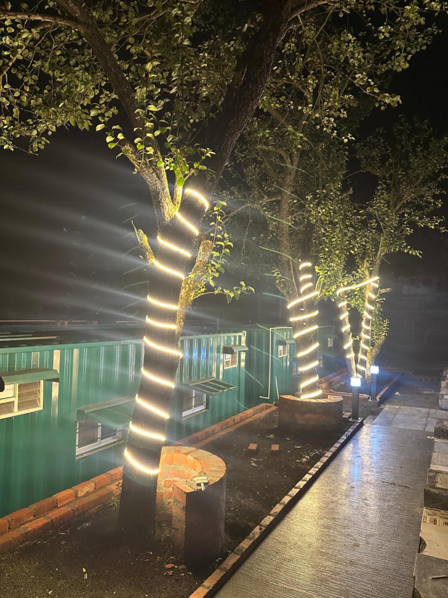 Skytop Homestay Homestay Kodaikanal