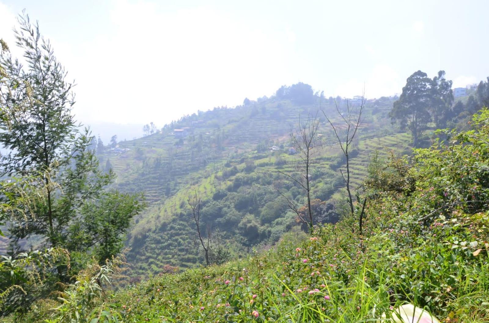 Homestay Dollies A Frame Kodaikanal