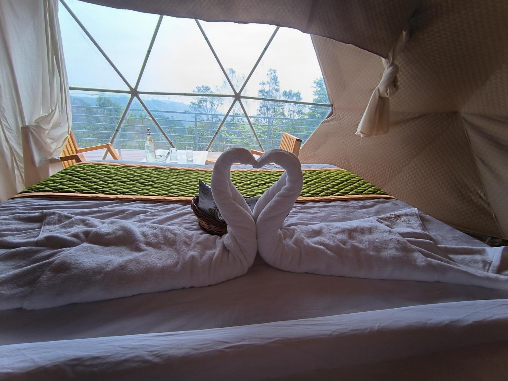 L.t Nature Glamps Luxury tent *