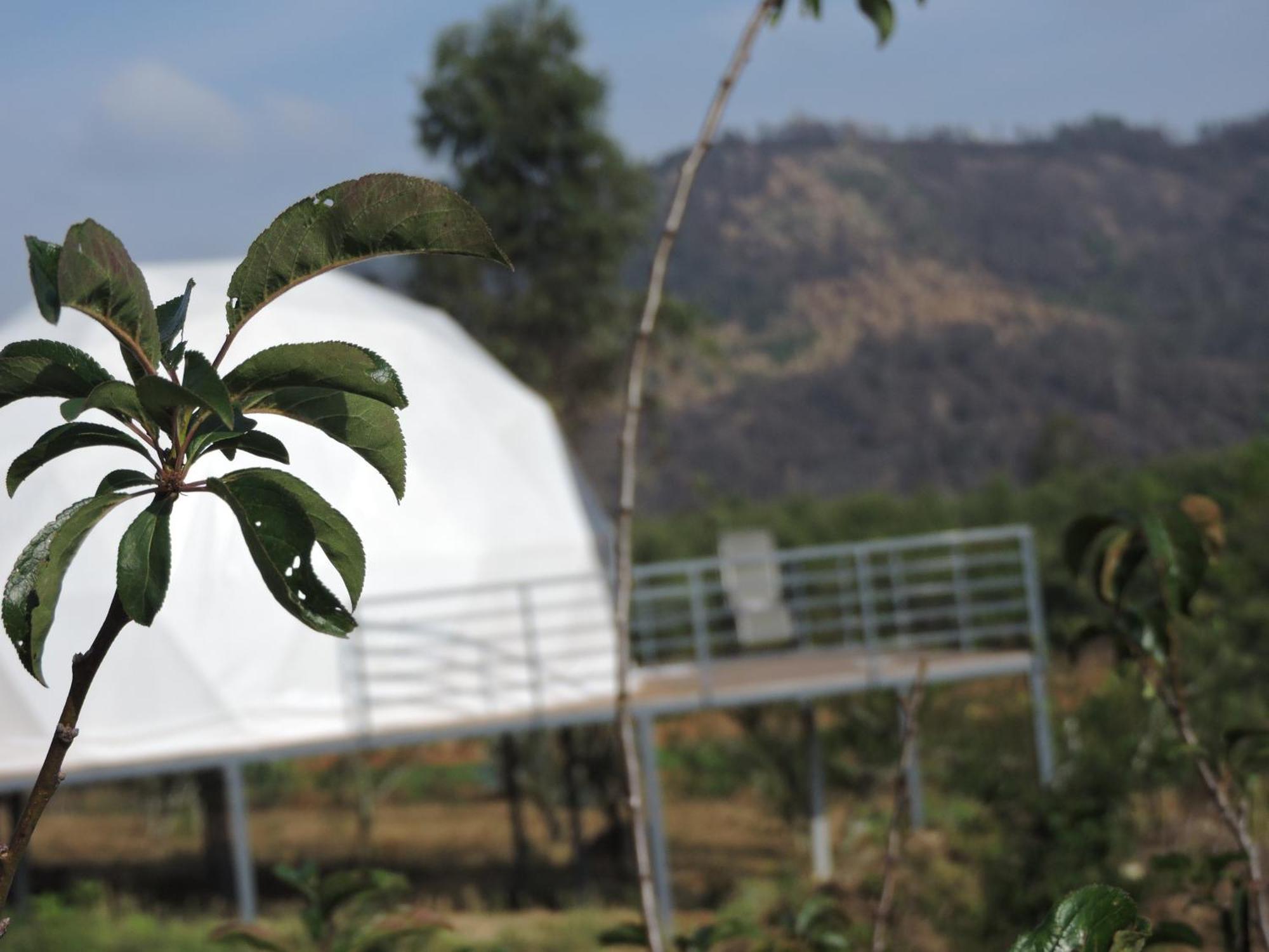 L.t Nature Glamps Luxury tent