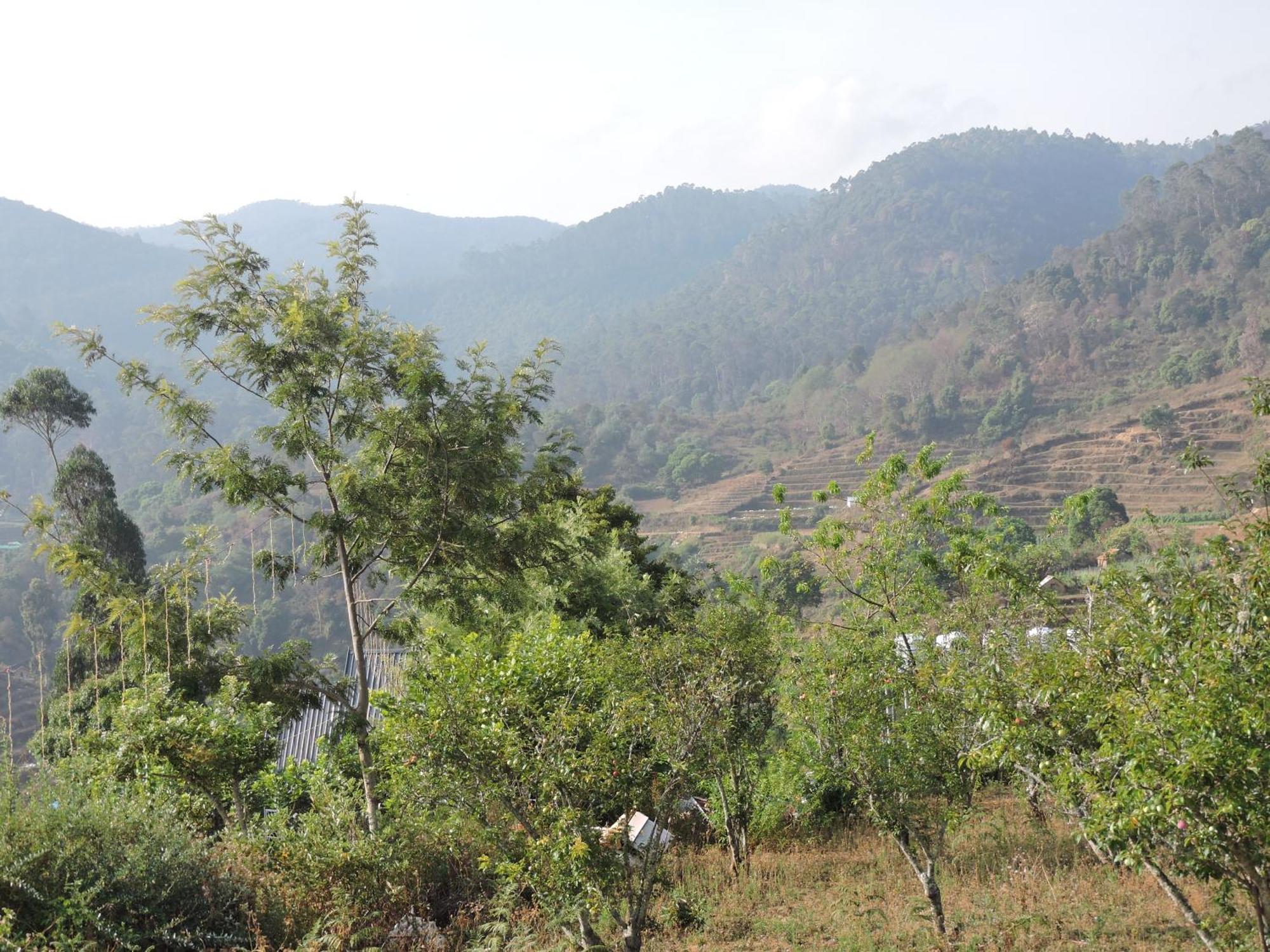 L.t Nature Glamps * Kodaikanal