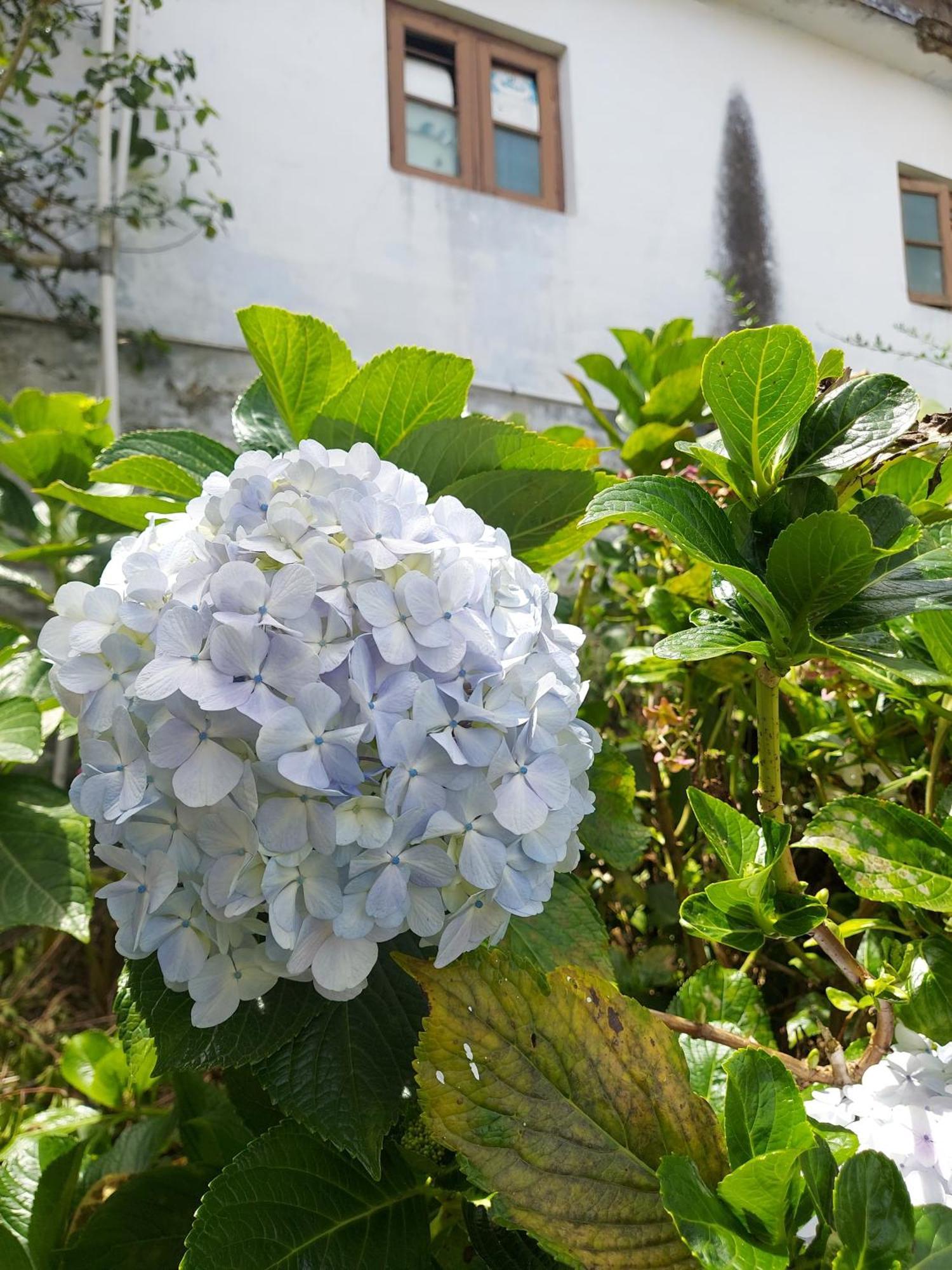 Amman Kodaikanal