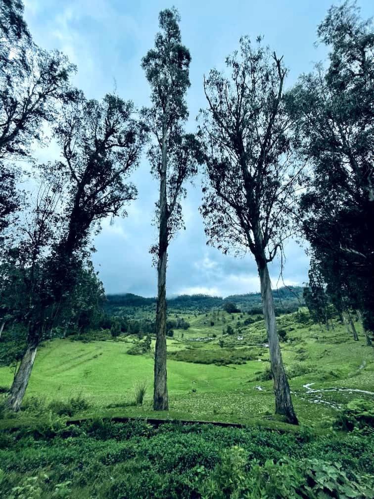 Kodai Sakthi Holiday home *