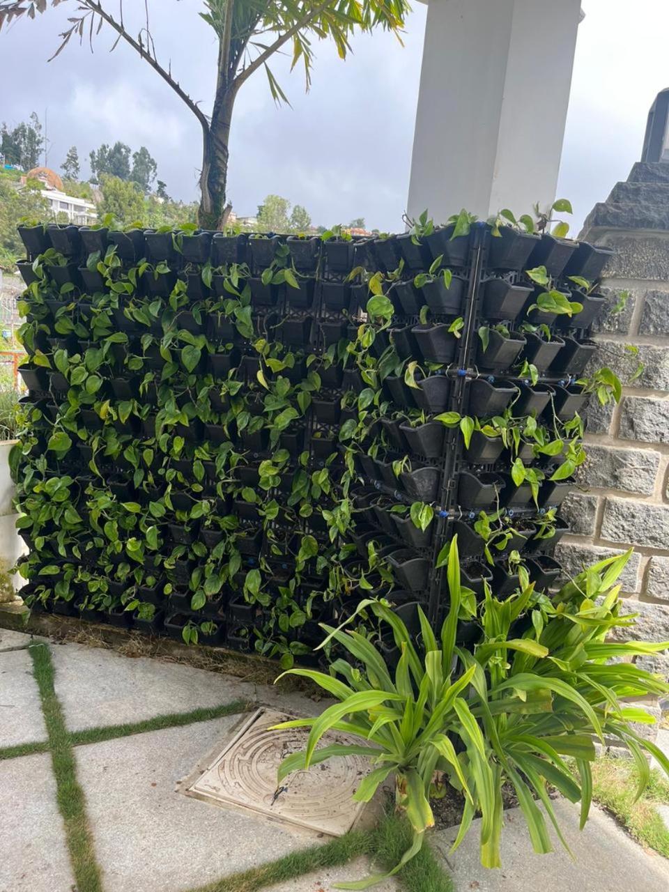 Jai Palace - * Kodaikanal