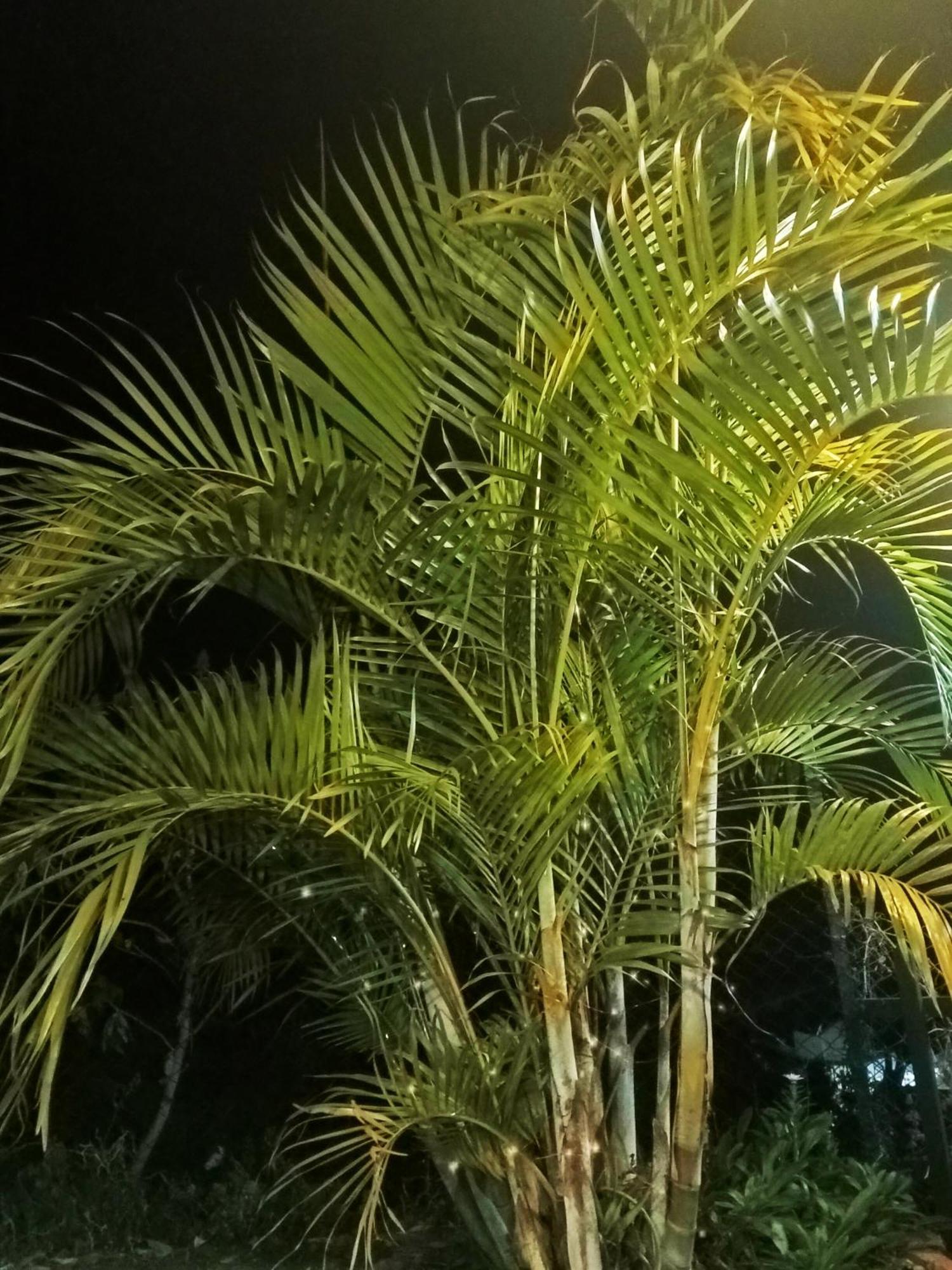 Kodai Vintage Villa *